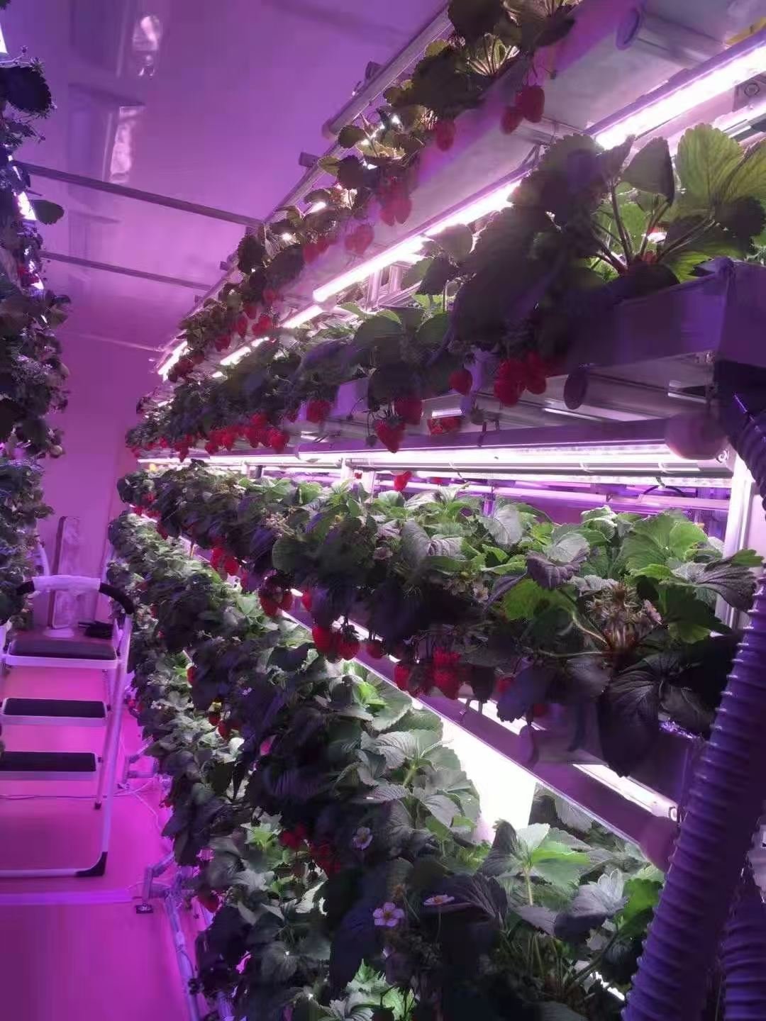 Small-Scale Educational & Community Systems - aquaponictec.com