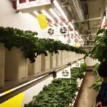 微信图片_20250518181209
